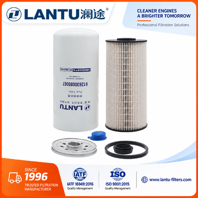 Filter Bahan Bakar Diesel Lantu 612630080087 1000053555 1000422382 1117050B81DM FC71090 R010018 Produsen